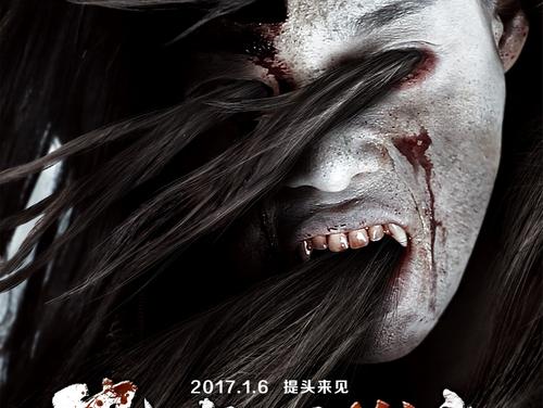 San Diego State University金融文凭证书